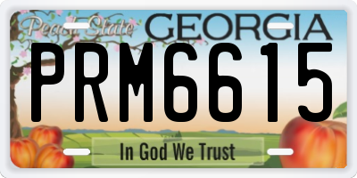 GA license plate PRM6615