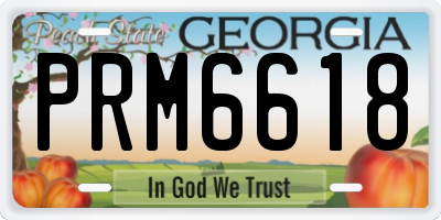 GA license plate PRM6618