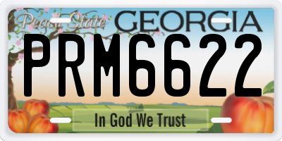 GA license plate PRM6622