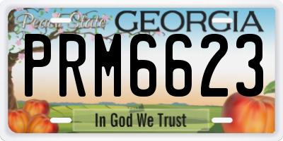 GA license plate PRM6623