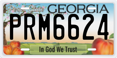 GA license plate PRM6624