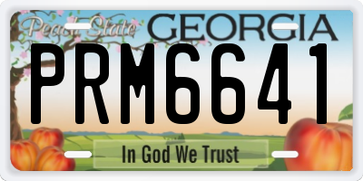 GA license plate PRM6641