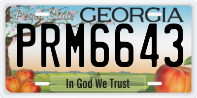 GA license plate PRM6643