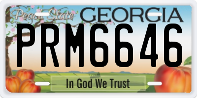 GA license plate PRM6646