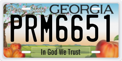 GA license plate PRM6651