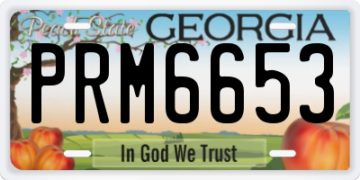GA license plate PRM6653