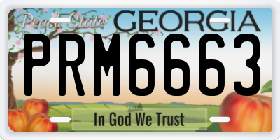 GA license plate PRM6663