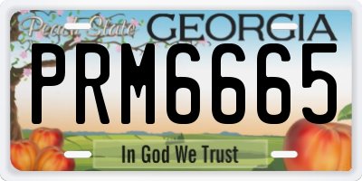 GA license plate PRM6665