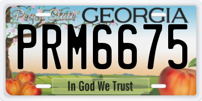 GA license plate PRM6675