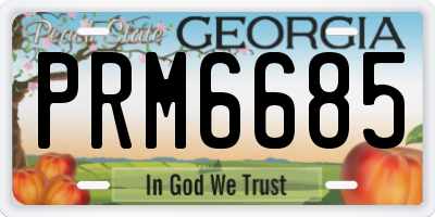 GA license plate PRM6685