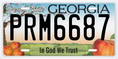GA license plate PRM6687