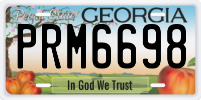 GA license plate PRM6698