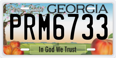 GA license plate PRM6733