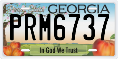 GA license plate PRM6737