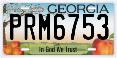 GA license plate PRM6753