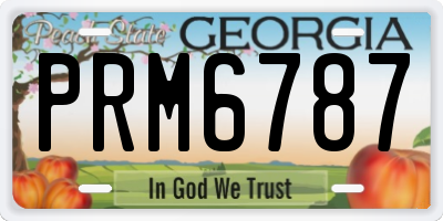 GA license plate PRM6787
