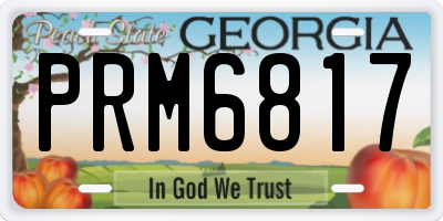 GA license plate PRM6817