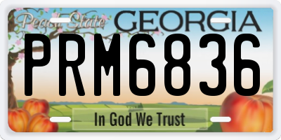 GA license plate PRM6836