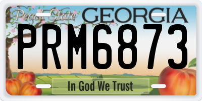 GA license plate PRM6873