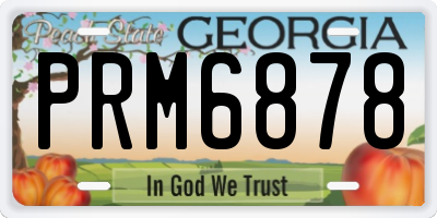 GA license plate PRM6878
