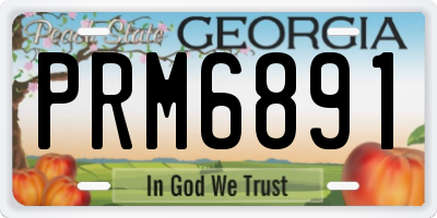 GA license plate PRM6891