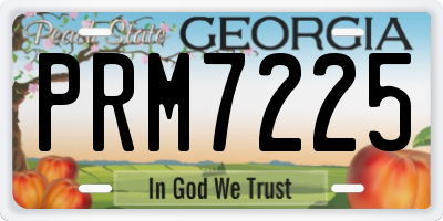 GA license plate PRM7225