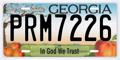 GA license plate PRM7226