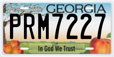 GA license plate PRM7227
