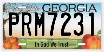 GA license plate PRM7231