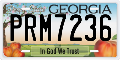 GA license plate PRM7236
