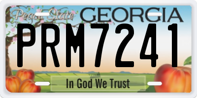 GA license plate PRM7241