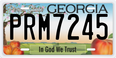 GA license plate PRM7245