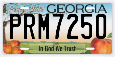 GA license plate PRM7250