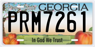 GA license plate PRM7261