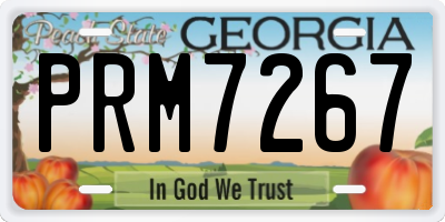 GA license plate PRM7267