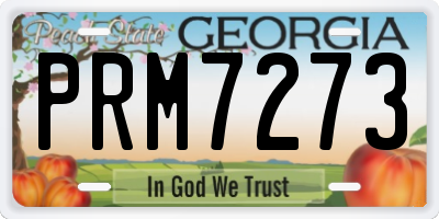 GA license plate PRM7273