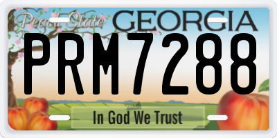 GA license plate PRM7288