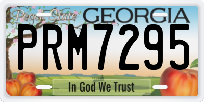GA license plate PRM7295