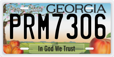 GA license plate PRM7306