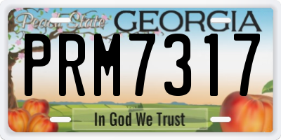 GA license plate PRM7317