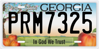 GA license plate PRM7325