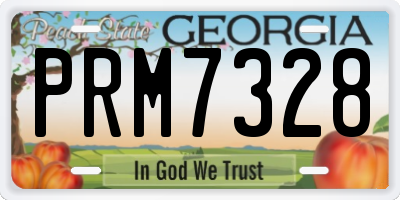 GA license plate PRM7328