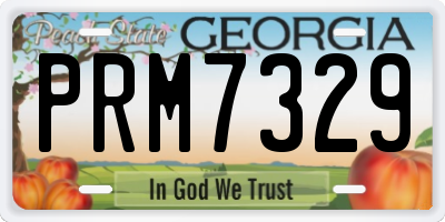 GA license plate PRM7329