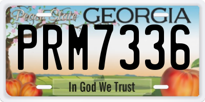 GA license plate PRM7336