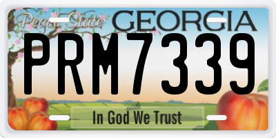 GA license plate PRM7339