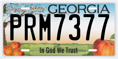 GA license plate PRM7377