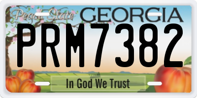 GA license plate PRM7382