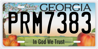 GA license plate PRM7383