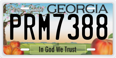 GA license plate PRM7388