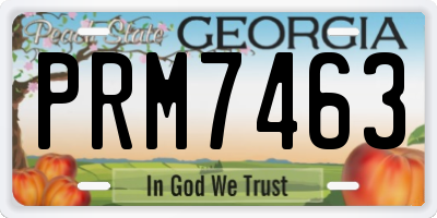 GA license plate PRM7463